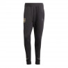 LAF M Travel Pant